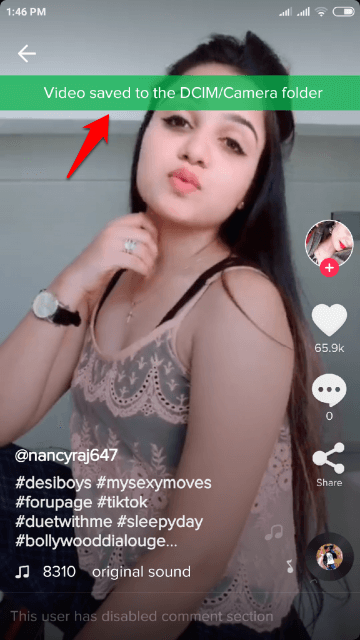 download musically videos