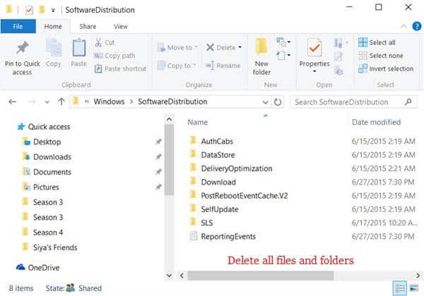 software distribution windows 10