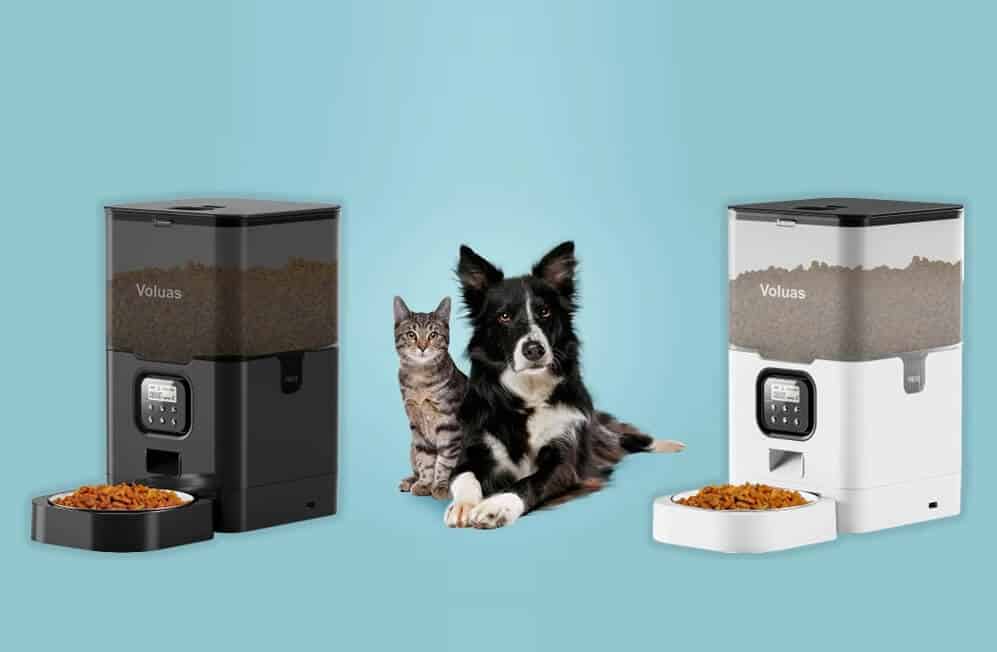 voluas automatic cat feeders review